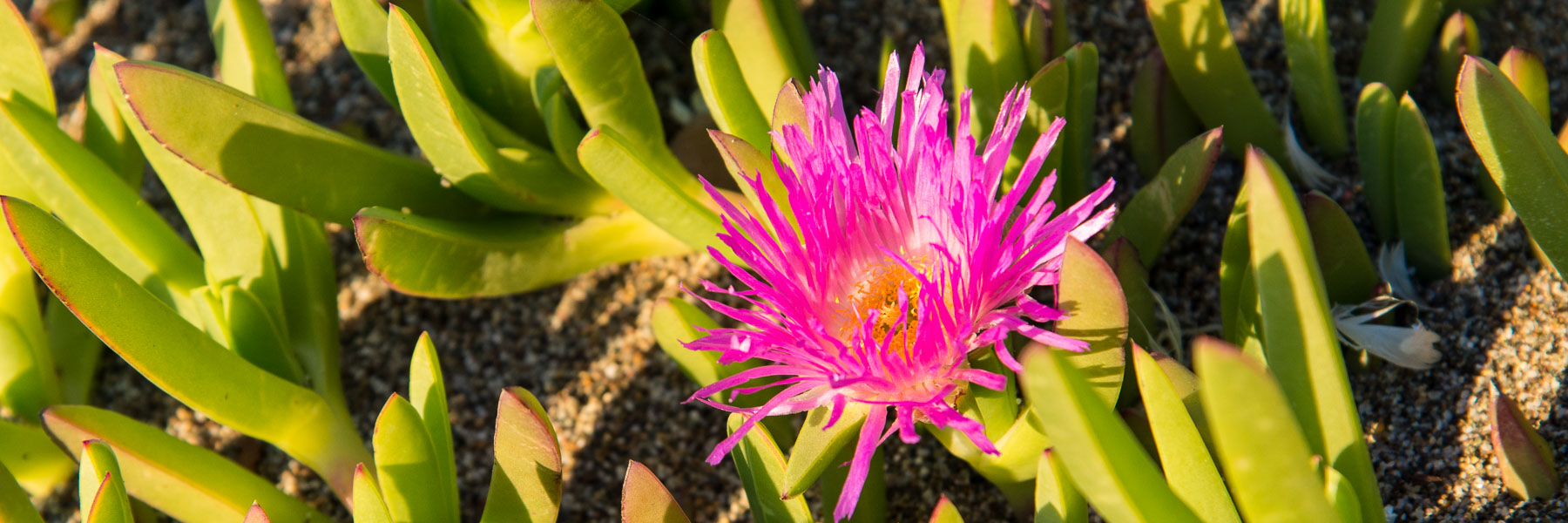 Contact Us for Insight and Solutions