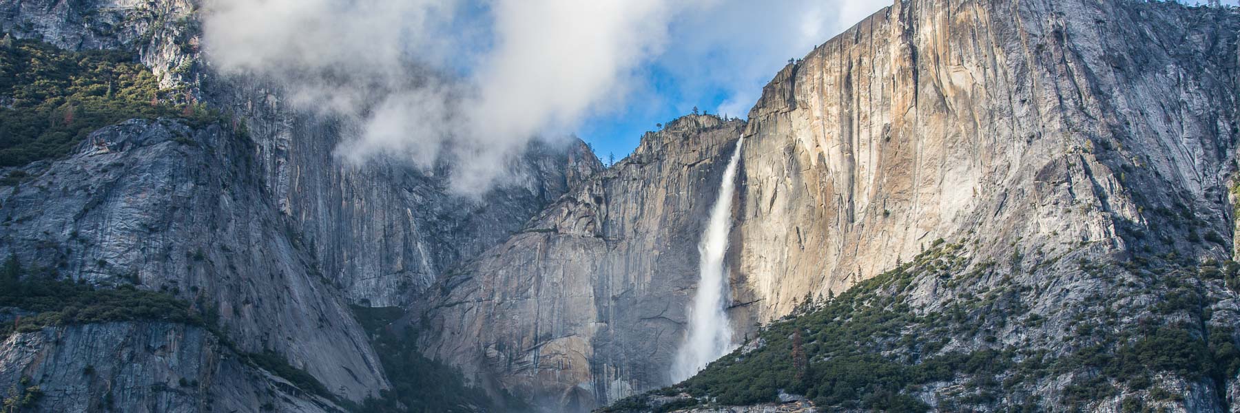 Clear Solutions, Efficient Tools, and Ongoing Support