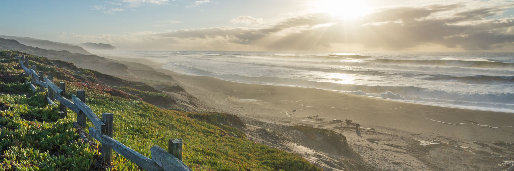 Protecting Your People